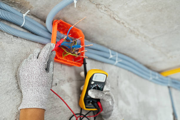 Best Ceiling Fan Installation Electrician  in Pleak, TX